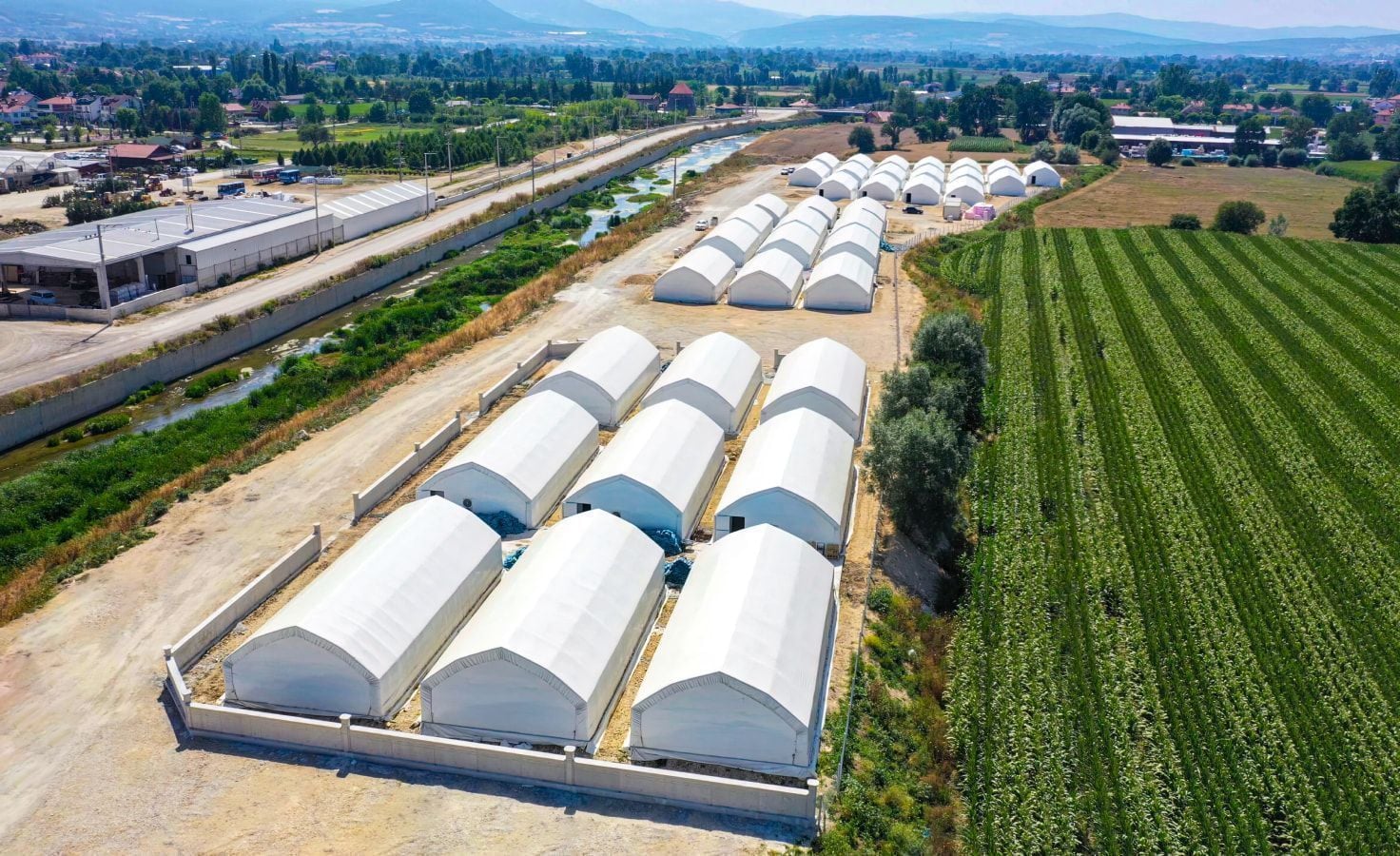 Azienda agricola per la coltivazione dei funghi: proteggere le serre e preservare il raccolto