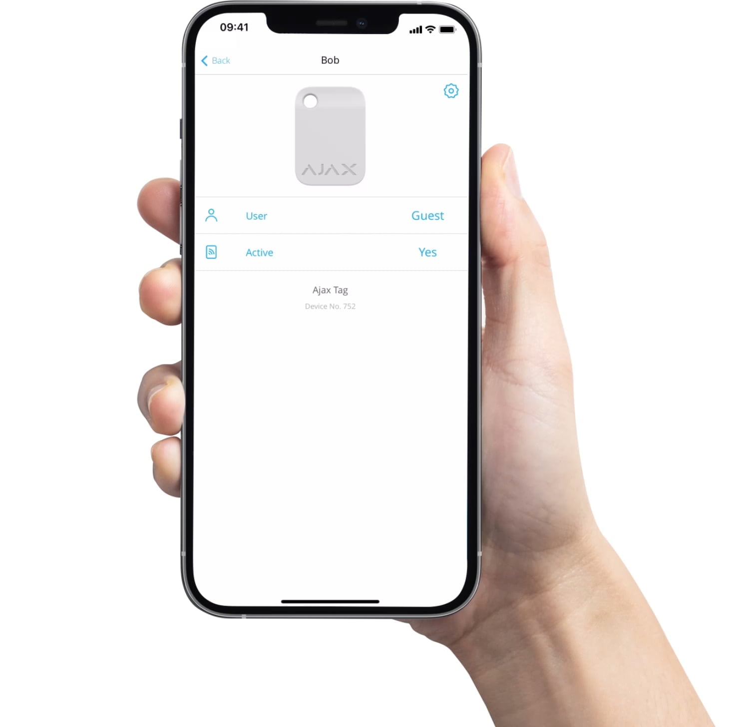 Flexible settings of access permissions