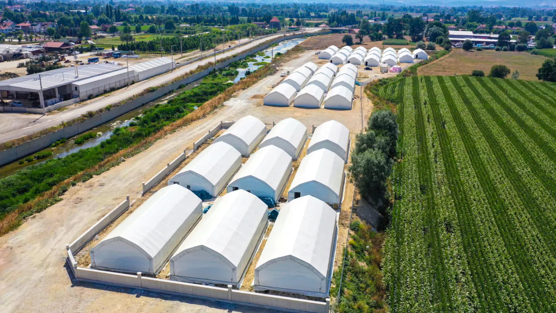 Empresas agrícolas