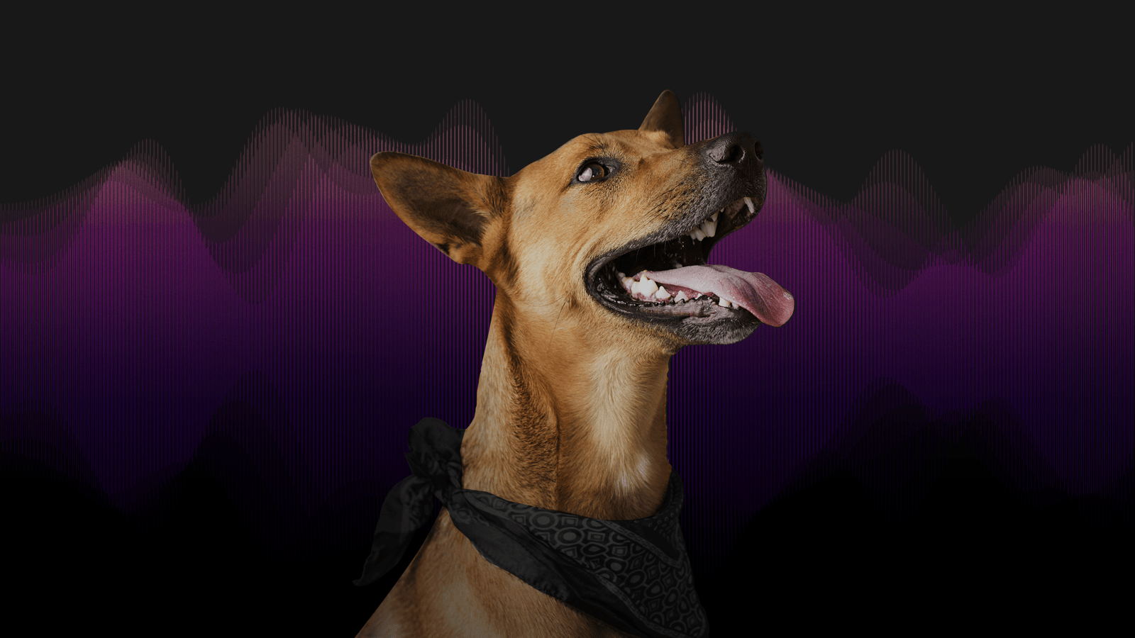 Warum Bewegungsmelder auf Tiere reagieren und wie man das vermeidet