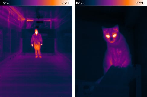 Haustier-Immunität von Ajax