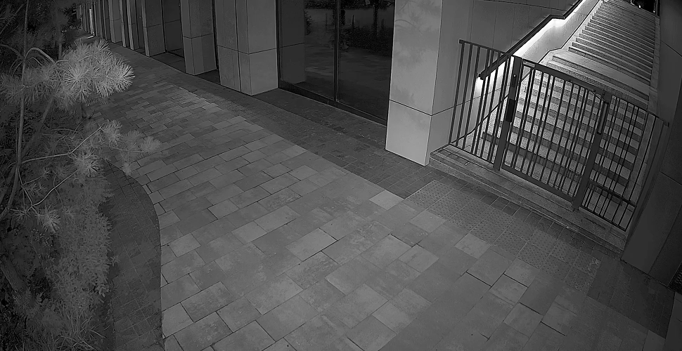 Full-color visibility