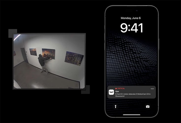 Visual verification of alarms